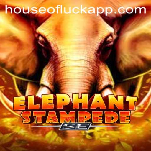 Discover the Thrilling World of ElephantStampedeSE and the Enchanting HOUSE OF LUCK